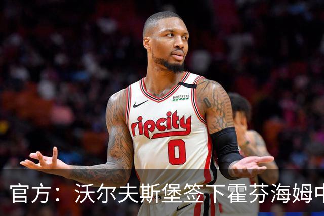 官方：沃尔夫斯堡签下霍芬海姆中场达马尔，双方签约至2031年
