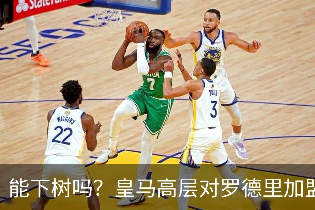 能下树吗？皇马高层对罗德里加盟心存疑虑，赞助商和球迷极力支持